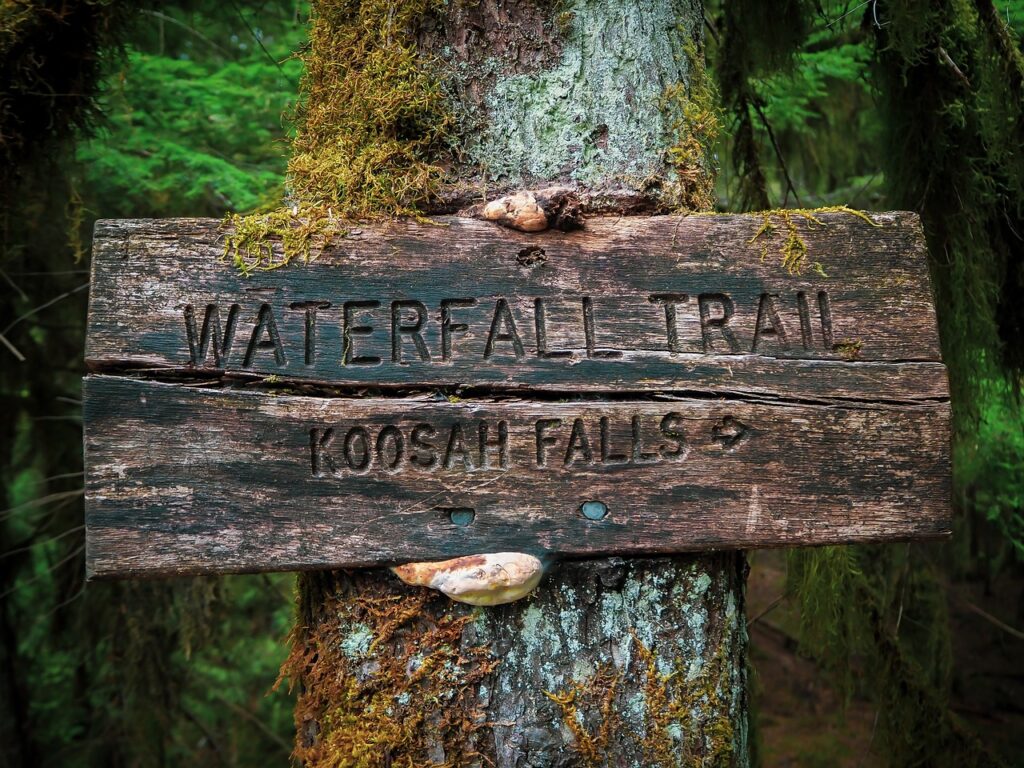 Waterfall trail near Tenakee Hot Springs