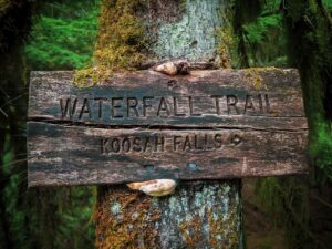 Waterfall trail near